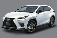 LEXUS NX F SPORT PARTS (ブラックエディション)