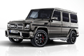 メルセデス･ベンツ、AMG G65の装備を充実…3900万円で期間限定販売