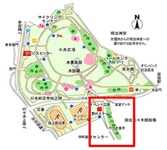 シブヤスポーツカーフェス2017