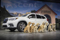 8頭のワンちゃんと登場！スバルの新型SUV「アセント」が世界初公開…価格は333万円から