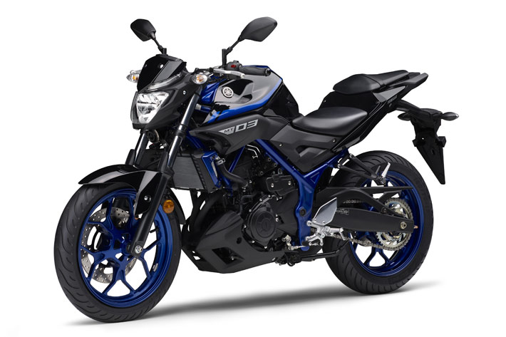 YamahaMT-15 ！高年式2018モデ ル そのまま乗れます. 愛知県 04100048261.jpg