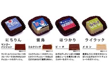 エル特急ヘッドマークチョコレート