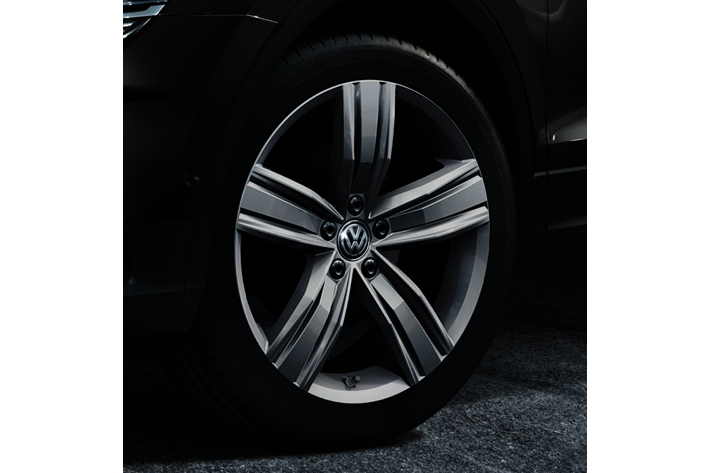 フォルクスワーゲン ティグアン 限定車「ディナウディオ エディション」