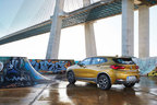 BMW X2 xDrive20d M Sport X