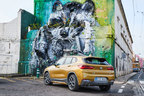 BMW X2 xDrive20d M Sport X