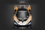 McLaren Senna GTR コンセプト（マクラーレン セナ GTR）