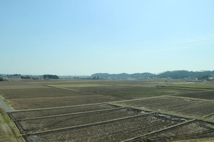 ひと気もなく、ただ除染された田畑だけが拡がる[2018年3月26日(月)／福島県双葉郡浪江町周辺にて]