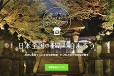 テラハクのHP（画像はHPのスクリーンショット）
