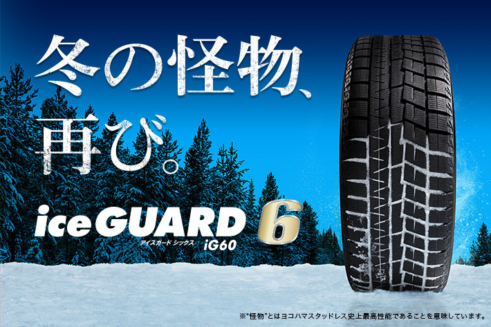 iceGUARD 6