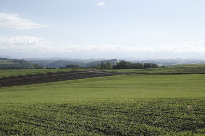 北海道・美瑛＜VW ティグアンTDI 4モーションで北海道へ ｜“歴史を感じる鉄道体験”の旅【後編】＞