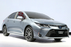 トヨタ 新型カローラ（中国）