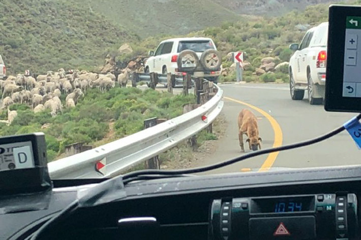 トヨタ自動車 アフリカ大陸走破レポート【パート7】