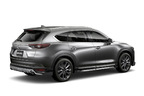 DAMD CX-8