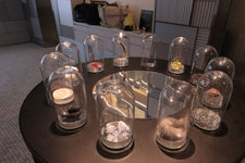 レクサス  “Journey on the Tongue”