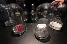 レクサス  “Journey on the Tongue”