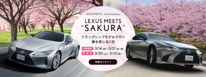 レクサス 4組だけのための特別な お花見 試乗 キャンペーンを実施 業界先取り 業界ニュース 自動車ニュース21国産車から輸入車まで Mota