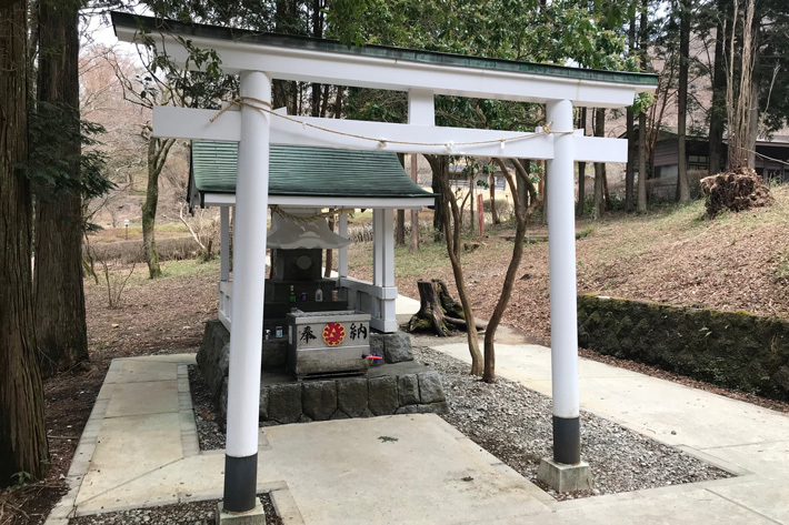 脱ペーパードライバー！ 長距離ドライブで箱根神社まで！