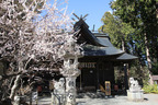 冨士御室浅間神社（山梨県南都留郡）【富士山浅間神社五社巡り】