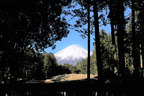 山宮浅間神社（静岡県富士宮市）【富士山浅間神社五社巡り】【富士山浅間神社五社巡り】