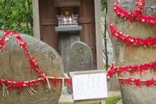 梅雨の鎌倉ドライブ！細い町並みは運転できるのか？【あなたのクルマ、乗らせてくださいvol.10】