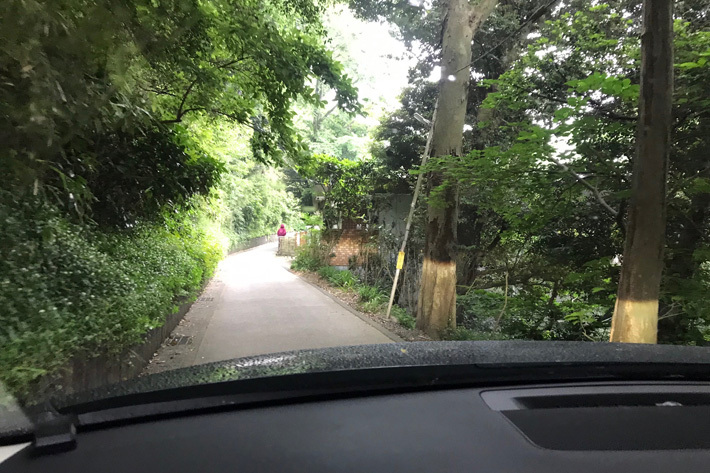 安全にすれ違うことができるよう、普段から車幅感覚に慣れておきたい