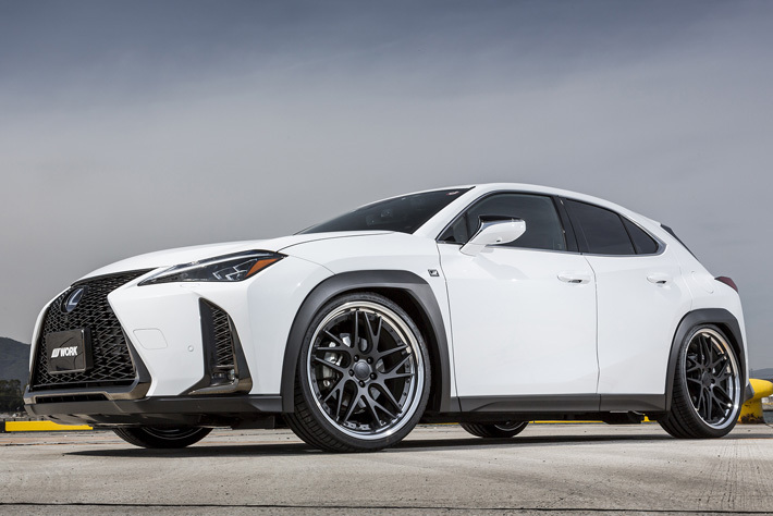 WORK グノーシス CVX