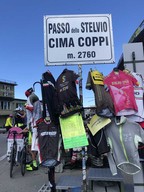 アルファロメオ ステルヴィオ イタリア試乗