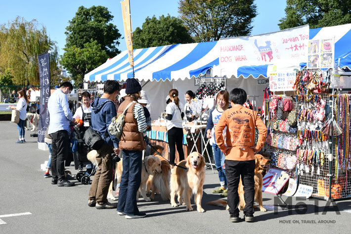 関東最大級「お台場キャンピングカーフェア2019」開催