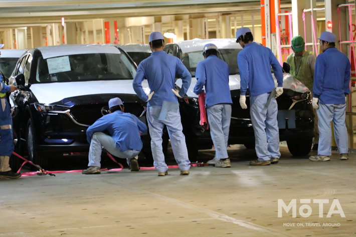 マツダ 自動車船積み見学会