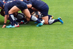 2019年9月20日(金)から開幕したラグビーW杯