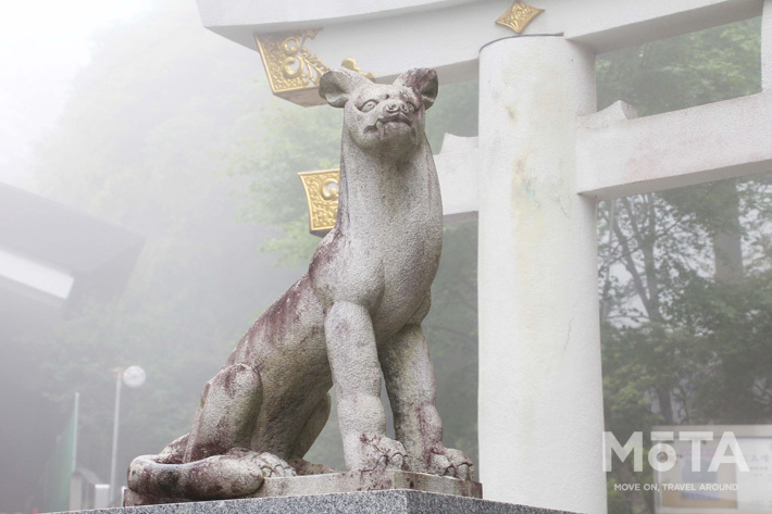 ▲三峯神社の「オオカミ」、お犬様の像