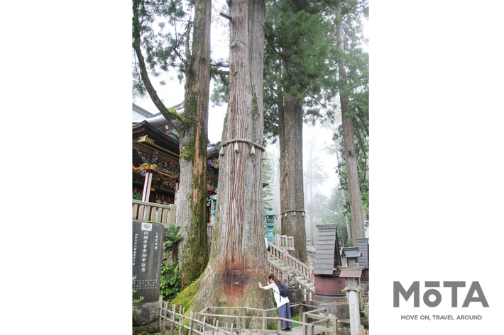 三峯神社へ長距離ドライブ