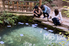 八重垣神社（島根県松江市）