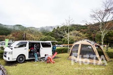 ダイレクトカーズ