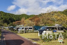 ダイレクトカーズ