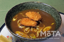 ホンダ カレーうどん