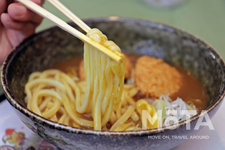 ホンダ カレーうどん