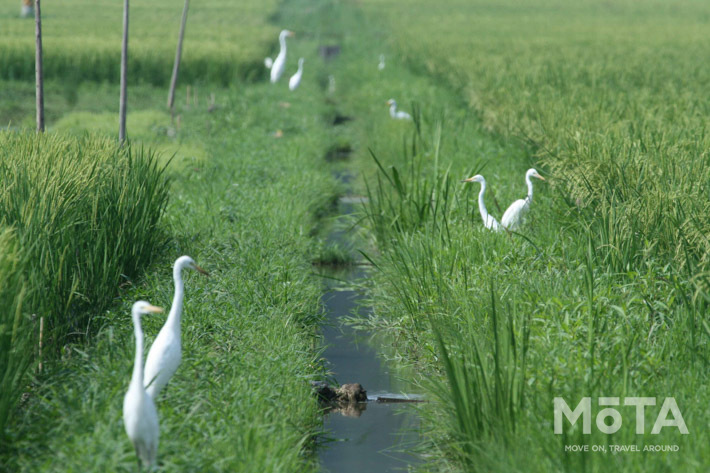 長者原SA内に宿泊施設 E-NEXCO LODGE 長者原SA店