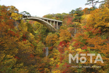 長者原SA内に宿泊施設 E-NEXCO LODGE 長者原SA店