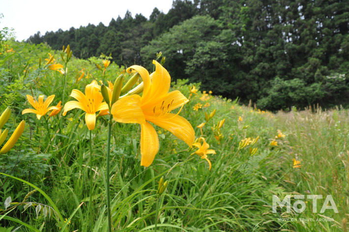 長者原SA内に宿泊施設 E-NEXCO LODGE 長者原SA店