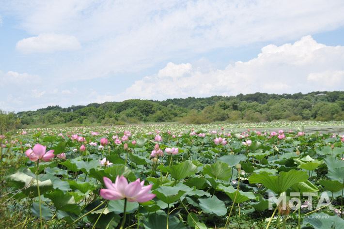 長者原SA内に宿泊施設 E-NEXCO LODGE 長者原SA店