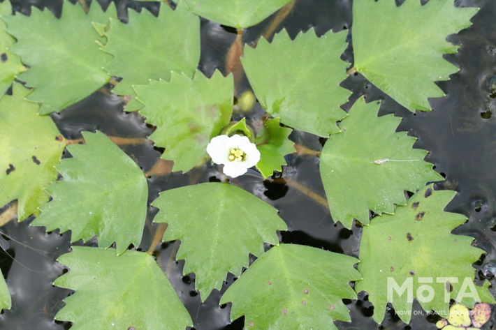 長者原SA内に宿泊施設 E-NEXCO LODGE 長者原SA店