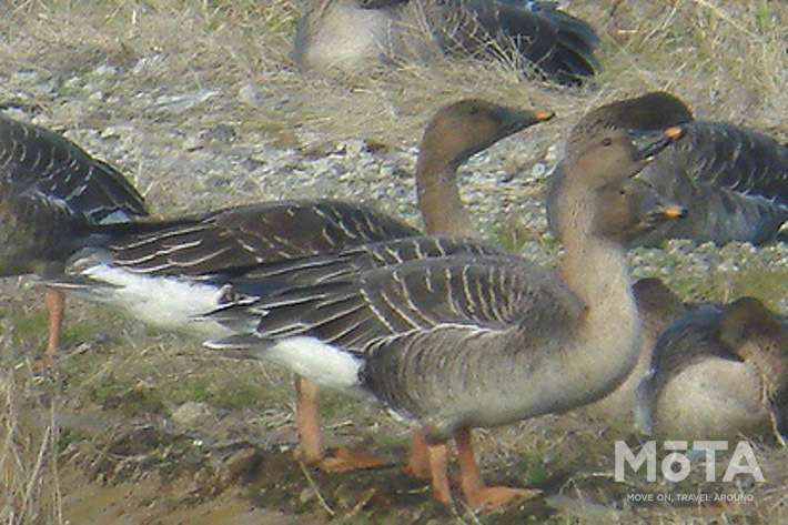 長者原SA内に宿泊施設 E-NEXCO LODGE 長者原SA店