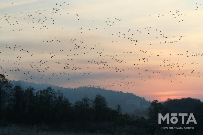 長者原SA内に宿泊施設 E-NEXCO LODGE 長者原SA店