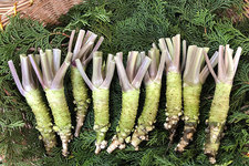 ※観光／旅行のイメージ