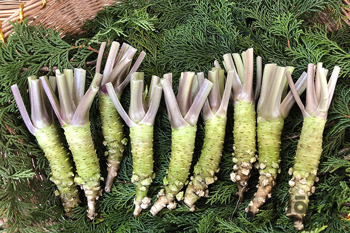 ※観光／旅行のイメージ