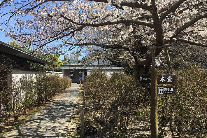 ※観光／旅行のイメージ