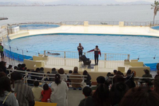 JAF福岡　交通安全イベント inマリンワールド海の中道