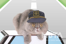 イエローハット 「全国交通にゃん全運動」