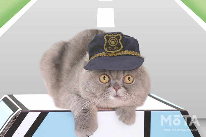 イエローハット 「全国交通にゃん全運動」